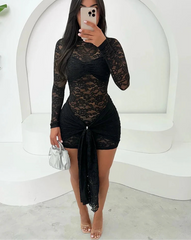 Black Long Sleeve Sheer Lace Mini Dress