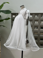 Mesh Short Sleeve Flared A-line Mini Dress