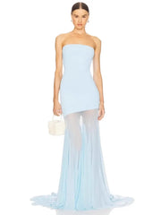 Strapless Mesh Pleats Maxi Dress