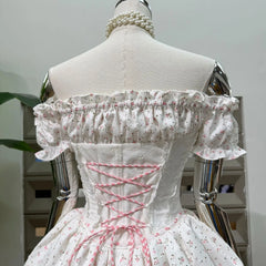 Off Shoulder Floral Corset Tie Up Mini Dress