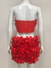 Red Floral Appliques Heart-Shaped Top And Mini Skirt Set