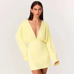 Deep V-neck Long Sleeve Mini Dress