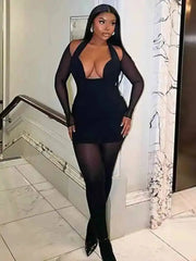 Black Mesh Long Sleeve Halter Deep Neck Bodycon Mini Dress