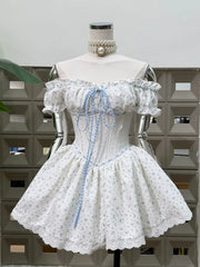 Off Shoulder Floral Corset Tie Up Mini Dress