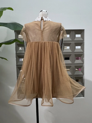 Mesh Short Sleeve Flared A-line Mini Dress