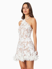 Halter Neck Embroidery Flowers Mini Dress