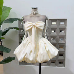 Bow Sleeveless Ball Gown Mini Dress