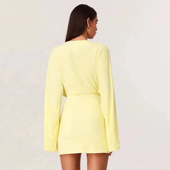 Deep V-neck Long Sleeve Mini Dress