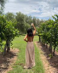 Pink Deep V-neck Backless Halter Maxi Dress