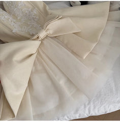 Spaghetti Strap A-Line Tiered Embroidered Bow Tulle Mini Dress