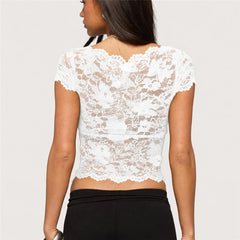 Sheer Scallop Trim Short Sleeve Top