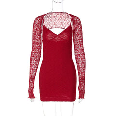Lace Sheer Long Sleeve V Neck Bodycon Mini Dress