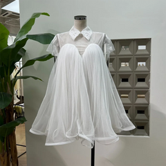 Mesh Short Sleeve Flared A-line Mini Dress