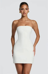 Halter Strap Solid Bodycon Mini Dress