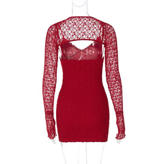 Lace Sheer Long Sleeve V Neck Bodycon Mini Dress