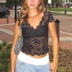 Sheer Scallop Trim Short Sleeve Top