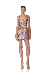 Embroired Floral Lace Tie Up Mini Dress