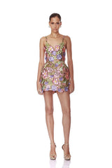 Embroired Floral Lace Tie Up Mini Dress