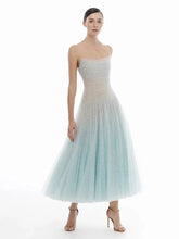 Mesh Sleeveless Frill Sheer Midi Dress