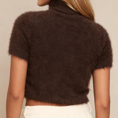 Fuzzy Knit High Neck Short Sleeve Crop Top