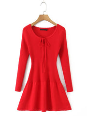 Solid Knit Long Sleeve Front Tie Mini Dress