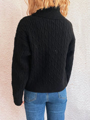 Turtleneck Pumpkin Embroidery Sweater
