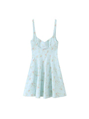 Blue Floral Print A-line Mini Dress