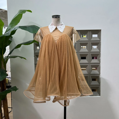 Mesh Short Sleeve Flared A-line Mini Dress