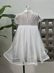 Mesh Short Sleeve Flared A-line Mini Dress
