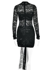 Black Long Sleeve Sheer Lace Mini Dress