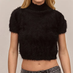 Fuzzy Knit High Neck Short Sleeve Crop Top