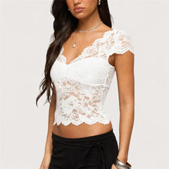 Sheer Scallop Trim Short Sleeve Top
