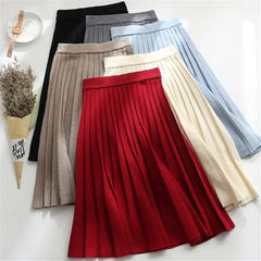 Long Pleated Knit Skirt