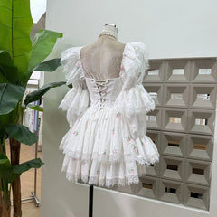 White Square Collar Puff Long Sleeve Lace Trim Floral Embroidered Mini Dress