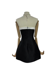 Black Bowknot Strapless Mini Dress