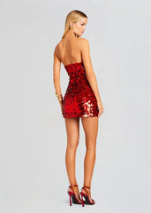 Sequin Bodycon Tube Mini Dress Free From Label