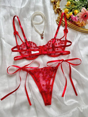 Heart-Shaped Embroidery Mesh Tie Up Lingere Set - Free From Label