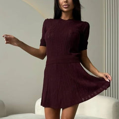 Knit Short Sleeve Top And Mini Skirt Set