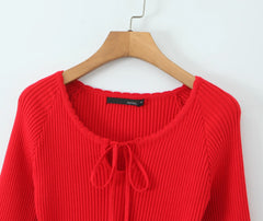 O neck Long Sleeve Knitting Mini Dress