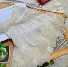 Rose Embroidery Sheer Mini Nightdress