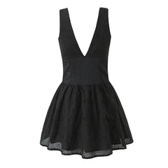 Black V-neck Embroidery Mini Dress