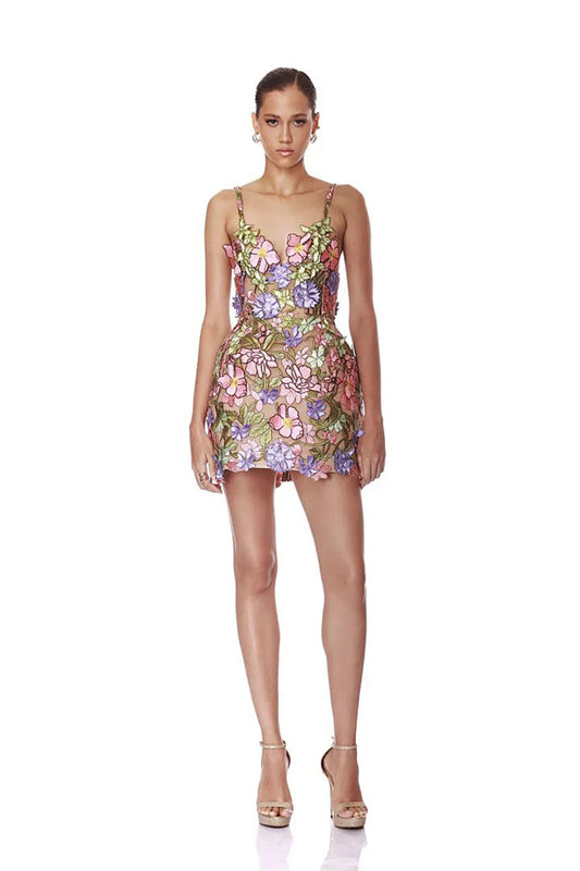 Embroired Floral Lace Tie Up Mini Dress