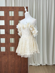 3D Floral Slash Neckline Embroidered Mini Dress