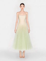 Mesh Sleeveless Frill Sheer Midi Dress