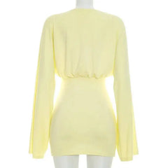 Deep V-neck Long Sleeve Mini Dress