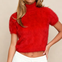 Fuzzy Knit High Neck Short Sleeve Crop Top