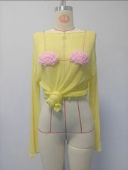 Knit Sheer Shell Embroidered Long Sleeve Round Neck Top