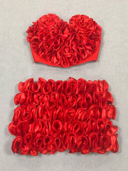 Red Floral Appliques Heart-Shaped Top And Mini Skirt Set