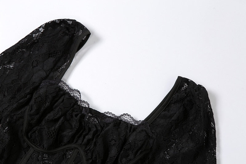 Black Lace Mesh Long Sleeve Midi Dress