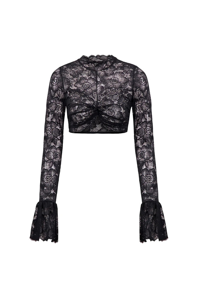 Long Sleeve Lace Mesh Crop Top – Free From Label